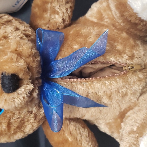 Carlyle & Co. NWT Zippered Tummy Teddy Bear - Picture 4 of 6